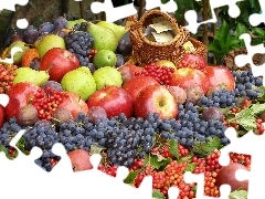 basket, harvest, truck concrete mixer, grape, apples