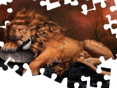 graphics, sleepy, Lion