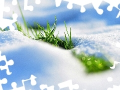 snow, grass