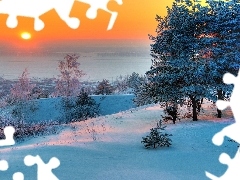 winter, viewes, Great Sunsets, trees