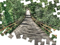 green, wooden, bridge