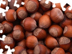 nuts, hazelnuts