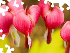 hearts, Flowers, Pink