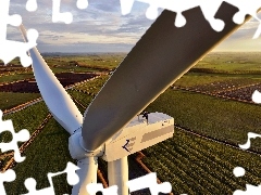 Wind, Blades, medows, turbines, Windmill, height, field
