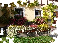 Garden, green, house, Flowers