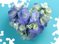 hydrangea, Heart, Flowers