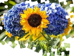 bouquet, Sunflower, hydrangeas, flowers