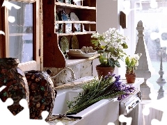 interior, Flowers, Irises, tap