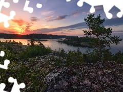 Islets, trees, Leningrad Oblast, viewes, Lake Ladoga, Great Sunsets, Russia