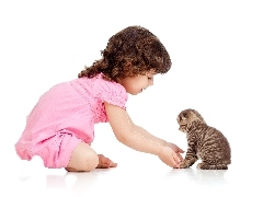 kitten, small, girl