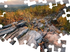 trees, autumn, Perm Krai, Russia, viewes, rocks