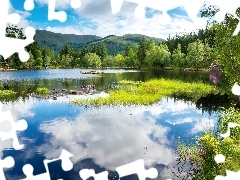 forest, England, Sky, Mountains, Scotland, lake, reflection