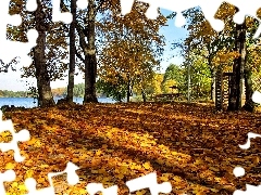 lake, shadows, Leaf, clones, autumn