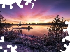 Great Sunsets, Ringerike, trees, winter, Norway, lake, viewes