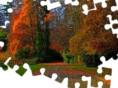 Leaf, autumn, Way, Meadow, forest