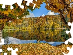Leaf, autumn, Mountains, woods, lake