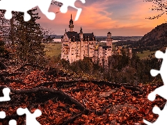 Bavaria, Germany, Neuschwanstein Castle, trees, roots, Leaf, autumn, The Hills, viewes