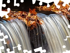 small, dry, Leaf, waterfall