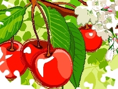 leaves, Fruits, cherries