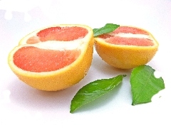 grapefruit, leaves