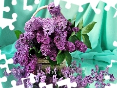 lilac, bouquet, purple
