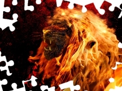 blazing, Lion