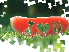watermelon, confession, Love things, grass