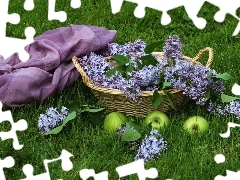 Meadow, composition, apples, basket, without