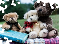 Meadow, Park, Bears, Book, Stuffed Animals