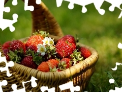 Meadow, basket, strawberries