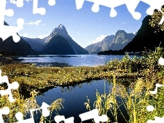 Milford, New Zeland, Mountains, VEGETATION, lake
