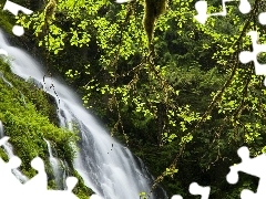 waterfall, Moss