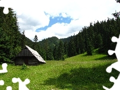 grass, forest, Mountains, cottage