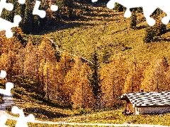 Mountains, autumn, house, Way, Bavaria, Germany, viewes, Berchtesgaden, trees