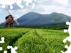 Mountains, woods, field, corn, Windmill