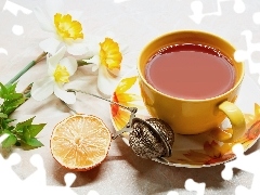 cup, Lemon, narcissus, tea
