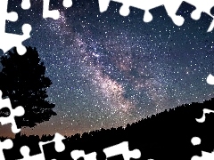 Night, trees, star