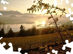 River, Mountains, rays of the Sun, field