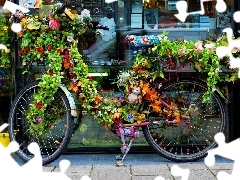 Bike, ornamentation