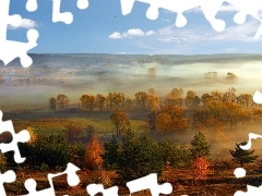 viewes, field, panorama, autumn, Fog, trees