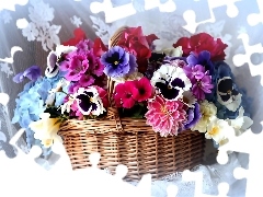 pansies, dahlias, Colorful, flowers, bouquet