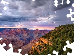 canyon, rocks, Grand Canyon, Grand Canyon National Park, Arizona, The United States, trees, viewes, thunderbolt