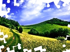 Meadow, Path