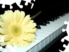 cream, keyboard, piano, Gerber
