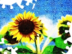 oil, Nice sunflowers, picture