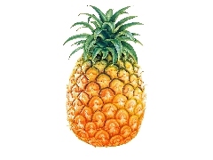 fruit, pineapple