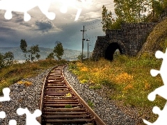 track, tunnel, Plants, railway