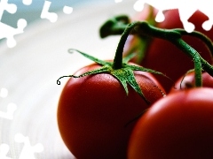 tomatoes, plate