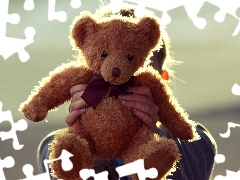 Kid, teddy bear, plush toy