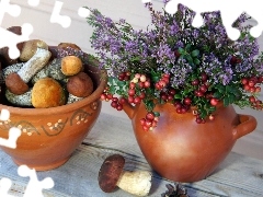 pots, mushrooms, Flowers